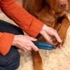 Rechargeable Pet Nail Grinder for Dogs & Cats Claw Care